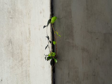  物理增高乱象频发，家长焦虑成推手；医生呼吁权威指南尽快出台。 健康养生