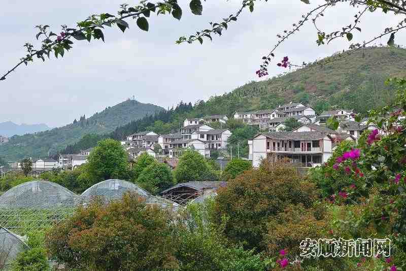  安顺民宿产业升级方法论：从1.0到2.0的迭代逻辑与数据实证 文化旅游