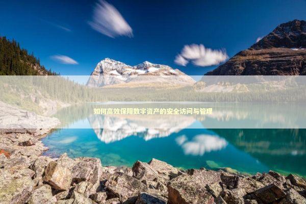 如何高效保障数字资产的安全访问与管理
