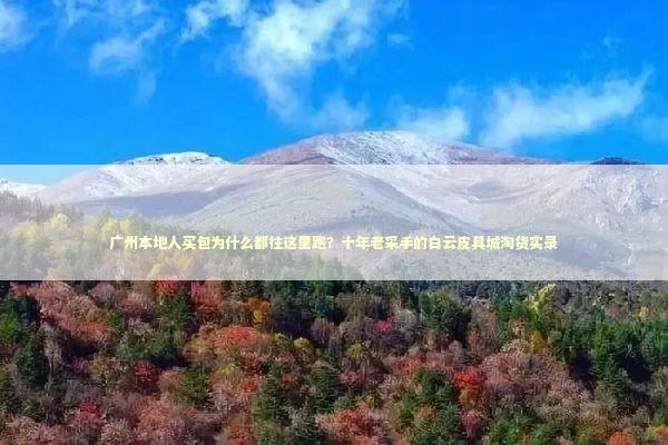 广州本地人买包为什么都往这里跑？十年老采手的白云皮具城淘货实录