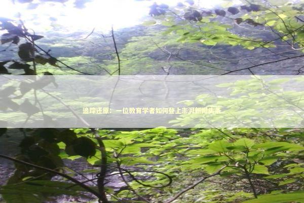 追踪还原：一位教育学者如何登上澎湃新闻头条