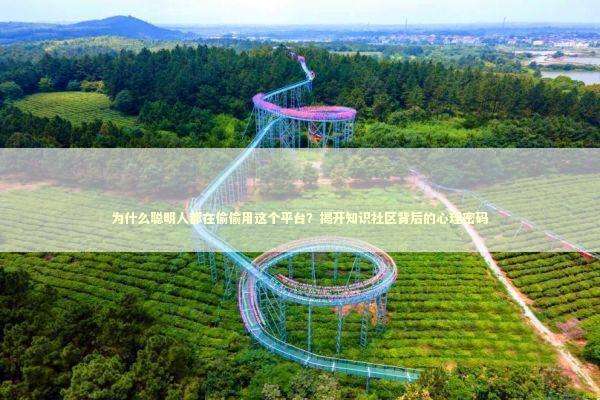为什么聪明人都在偷偷用这个平台？揭开知识社区背后的心理密码