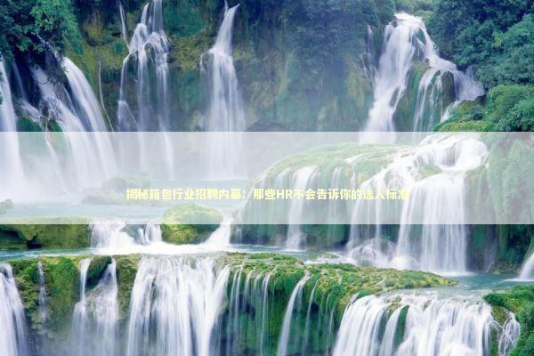揭秘箱包行业招聘内幕：那些HR不会告诉你的选人标准
