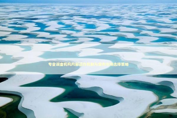 专业调查机构内部运作机制与常州市场选择策略